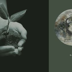 New Moon Nourishment - Guidance on your journey of wellness and life balance
