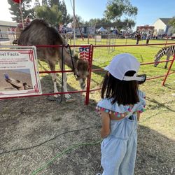 Santa Barbara County Fair Information
