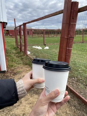 Apple Charlie's Orchards by null