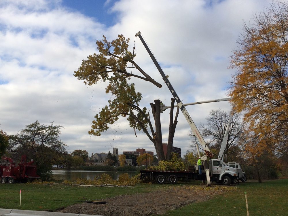 WESTSIDE FORESTRY SERVICE - Updated July 2026 - 12 Reviews - 48600 W 11 ...
