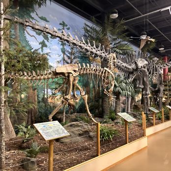 The Dinosaur Store - Dinosaur display - Museums Near Me - Cocoa Beach, Florida