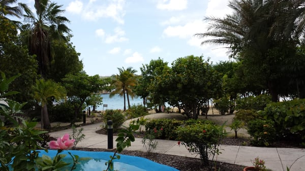 The Hotel on the Cay by null