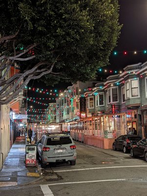 Yarsa Nepalese & Indian Cuisine by null