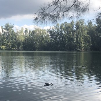 Wolf Lake Park - Parks Near Me - Davie, Florida