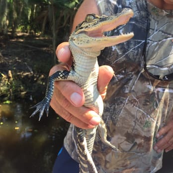 Airboat Adventures - Boat Tours Near Me - Lafitte, Louisiana Airboat Adventures - Boat Tours Near Me - Lafitte, Louisiana