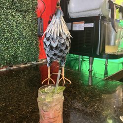 Rooster posing with my Strawberry Mojito
