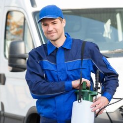 Onstar Pest Control - Licensed professional technicians