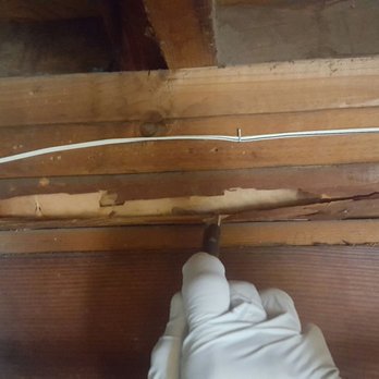 Bugpro Termite And Pest Control - How did Omar miss this?? - Pest Control Near Me - Anaheim, California