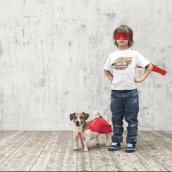 Pet Groomer Care
