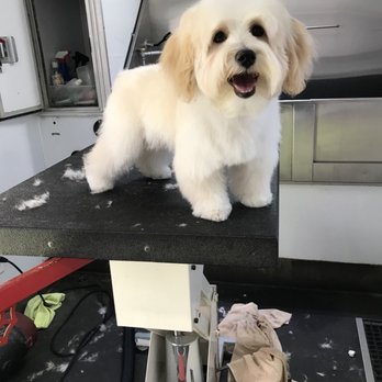 Ruff Life Mobile Pet Spaw - Pet Groomers Near Me - San Diego, California Ruff Life Mobile Pet Spaw - Pet Groomers Near Me - San Diego, California