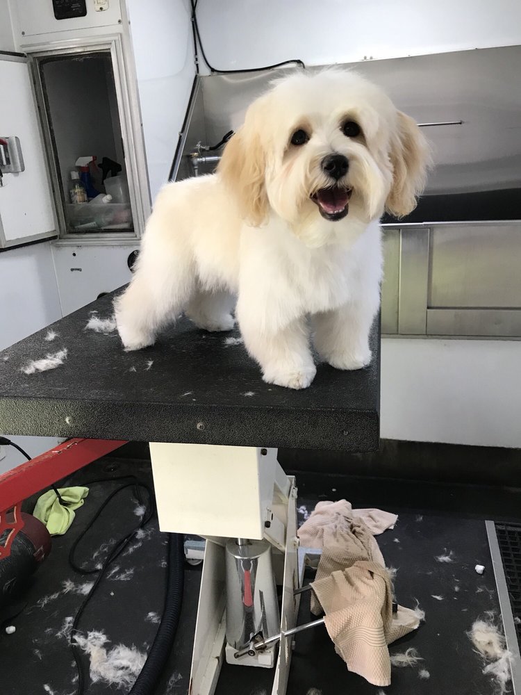 RUFF LIFE MOBILE PET SPAW 16 Photos & 16 Reviews Pet Groomers