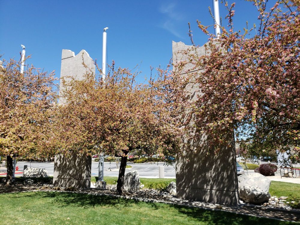 SOUTH RENO ACUPUNCTURE 30 Photos 9393 Gateway Dr, Reno, Nevada