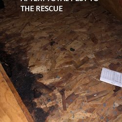 Total Pest Services - AFTER