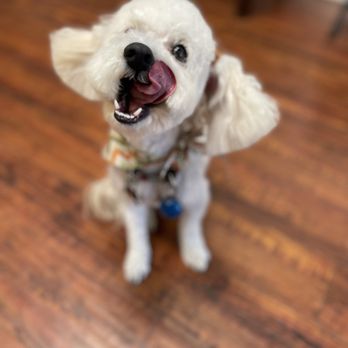 First Class Boarding &Training - Pet Boarding Near Me - Diamond Bar, California First Class Boarding &Training - Pet Boarding Near Me - Diamond Bar, California
