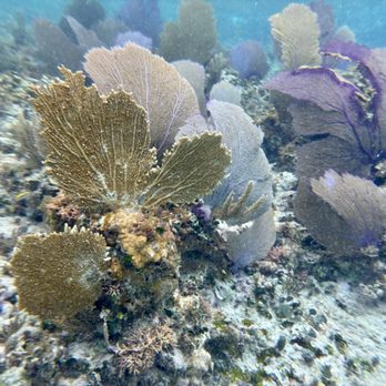 Sky Reef - Mexican Near Me - Cozumel, ROO