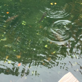 Oden State Fish Hatchery - Parks Near Me - Alanson, Michigan