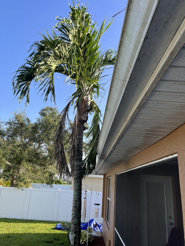 Slide of Roman Roofing
