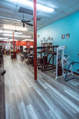 The Body Factory Health & Fitness Center by null