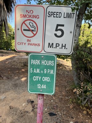 Prospect Park by null