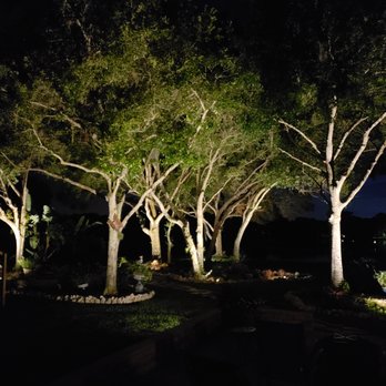 Elegant Illumination - Oak Tree Hammock - Lighting Fixtures & Equipment Near Me Elegant Illumination - Oak Tree Hammock - Lighting Fixtures & Equipment Near Me