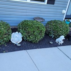 Cedar Creek Landscape Supply - Really makes a difference.