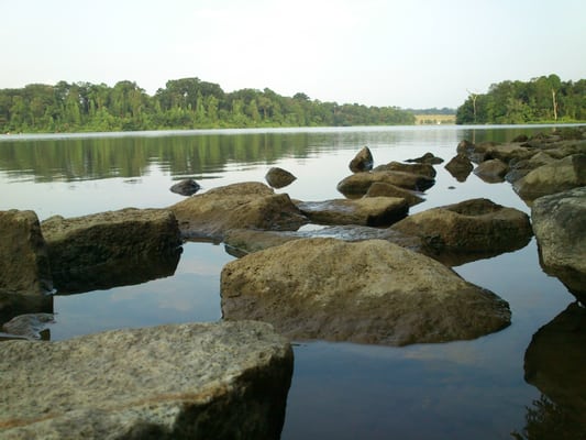 Lower Peirce Reservoir Park by null