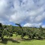 Photo of Dame Farm & Orchard