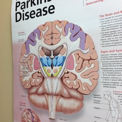University Of Louisville Movement Disorder Clinic