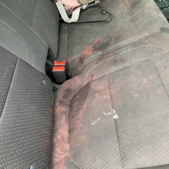 A Glawmorous Pet Pawlor - Blood on seats. - Pet Groomers Near Me - chesapeake, Virginia A Glawmorous Pet Pawlor - Blood on seats. - Pet Groomers Near Me - chesapeake, Virginia