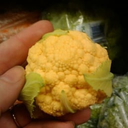 baby yellow cauliflower!