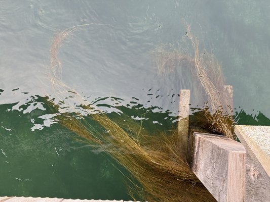 Rathaus Brauerei by null