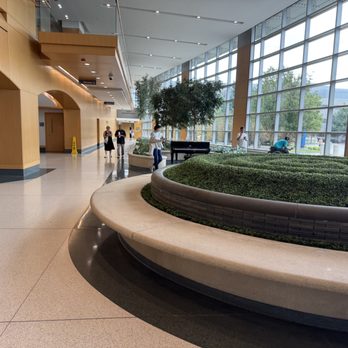 Endeavor Health Orthopaedic Immediate Care - Glenview - Radiologists Near Me - Glenview, Illinois
