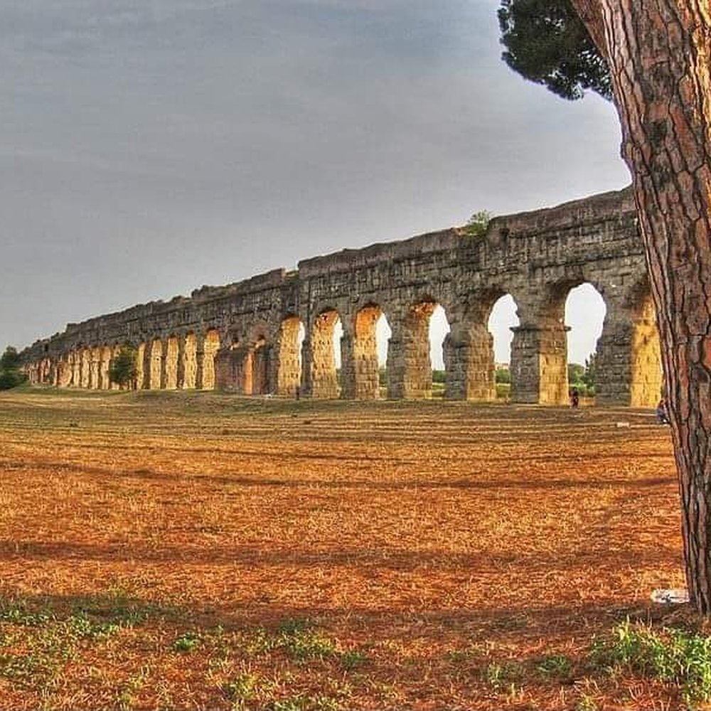 Colosseo - Local Flavor Near Me - Rome, RM
