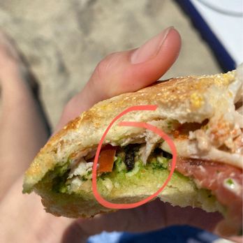 Moto Deli - Dead fly - Sandwiches Near Me - Encinitas, California