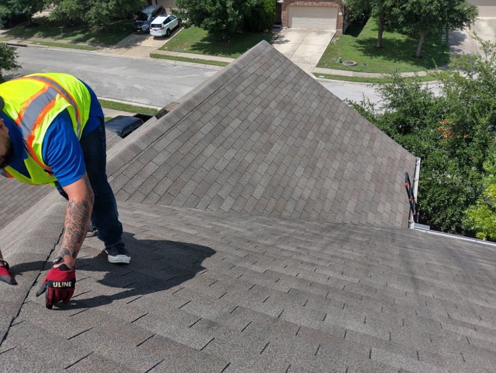 Slide of The Roof Goose