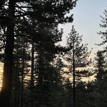 Granlibakken Tahoe - Tree line in the morning. Definitely gives you ET vibes against a full moon! You'll be expecting a bicycle to fly over it soon! - Ski Resorts Near Me - Tahoe City, California Granlibakken Tahoe - Tree line in the morning. Definitely gives you ET vibes against a full moon! You'll be expecting a bicycle to fly over it soon! - Ski Resorts Near Me - Tahoe City, California