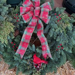 Chad's Christmas Trees