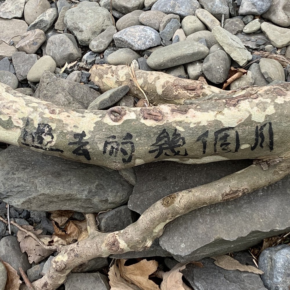 Ithaca Falls - Graffiti - Hiking Near Me