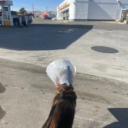 Shell - Gas station food mart potty stop all in one!