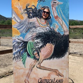 Ostrichland USA - Photo op - Attraction Farms Near Me - Solvang, California