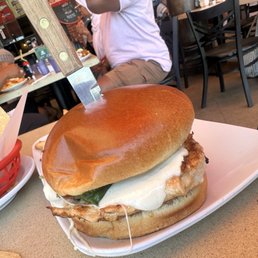 Chicken Caprese sandwich Chicken Caprese sandwich