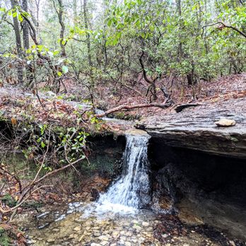 Raven Rock State Park - Campbell Creek Trail - Parks Near Me - Lillington, North Carolina Raven Rock State Park - Campbell Creek Trail - Parks Near Me - Lillington, North Carolina