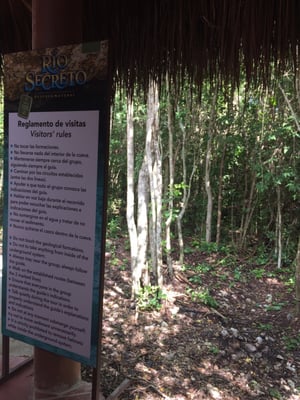 Río Secreto by null