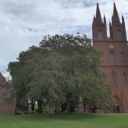 Diakoniewerk Kloster Dobbertin gGmbH - Klosterkirche Dobbertin, 2016, copyright by mostro