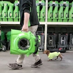 SERVPRO of Kirkland