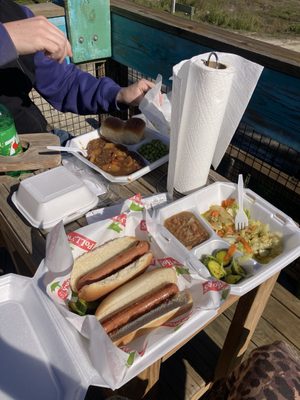 Pollywhogs near St. George Island in St. George Island, FL