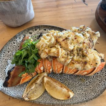 La Buena Barra - Lobster over cooked, very hard to chew!!! - Bars Near Me - Cancún, ROO La Buena Barra - Lobster over cooked, very hard to chew!!! - Bars Near Me - Cancún, ROO