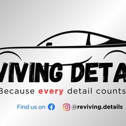 Reviving Details