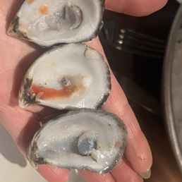 Tiny oysters called "medium" for $22 half dozen Tiny oysters called "medium" for $22 half dozen