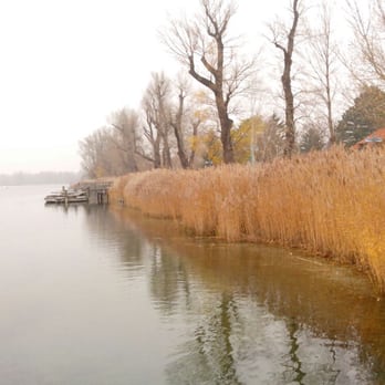 Untere Alte Donau - Lakes Near Me - Vienna, 9